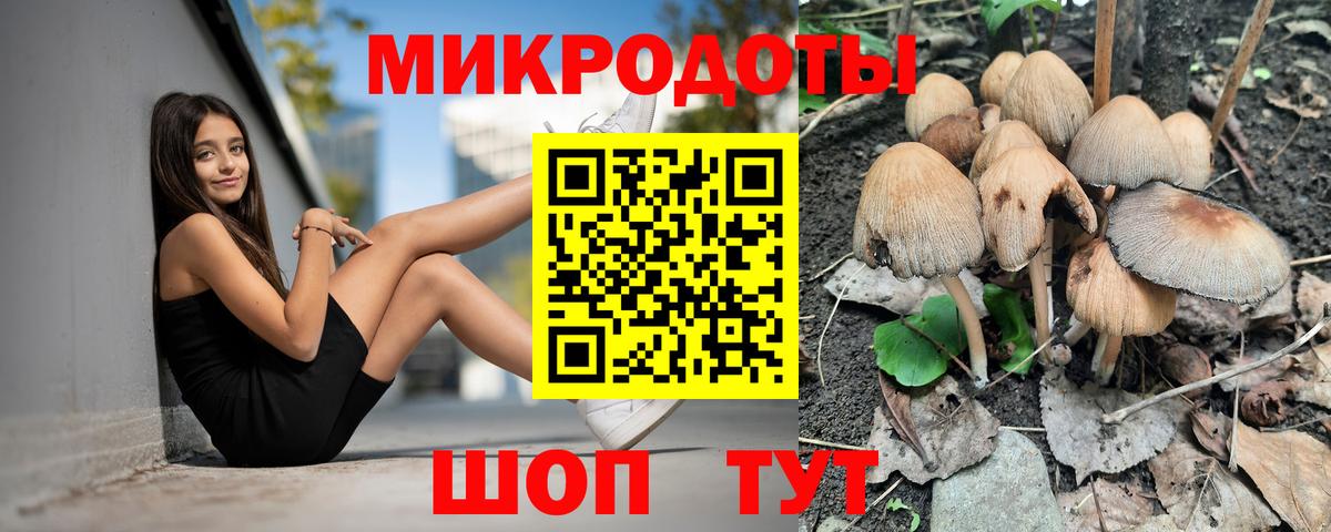 Псилоцибиновые грибы мухоморы Донецк