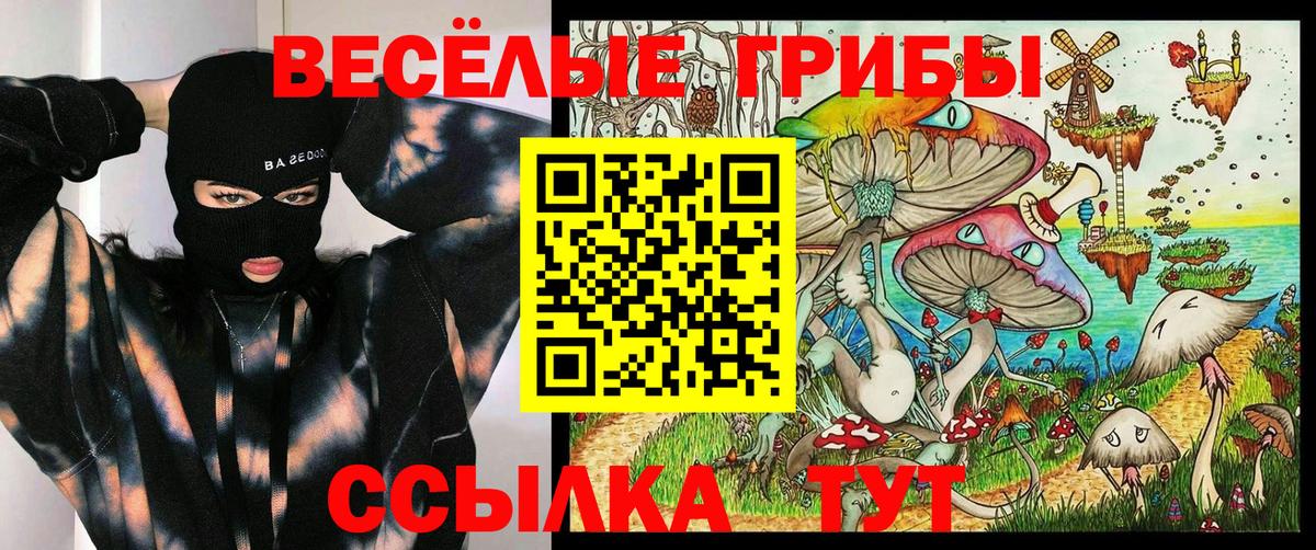 Донецк  Псилоцибиновые грибы GOLDEN TEACHER  Псилоцибиновые грибы Psilocybe  купить наркотики сайты  Вход с VPN 